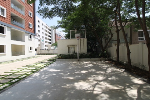 Basket ball court