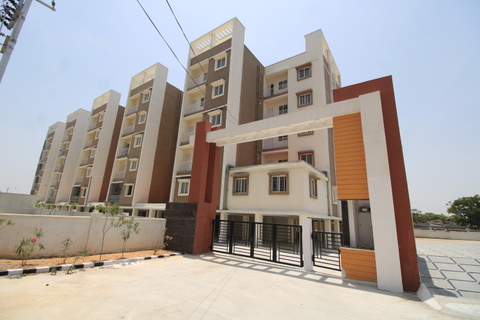 Site view