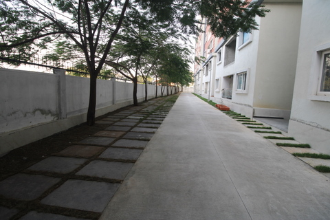 Drive way
