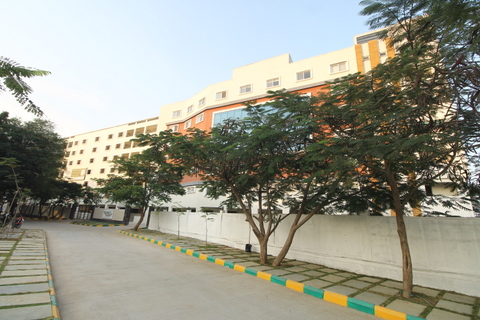 Site view