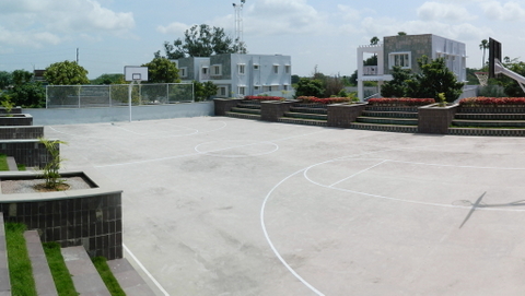 Basket Ball Court